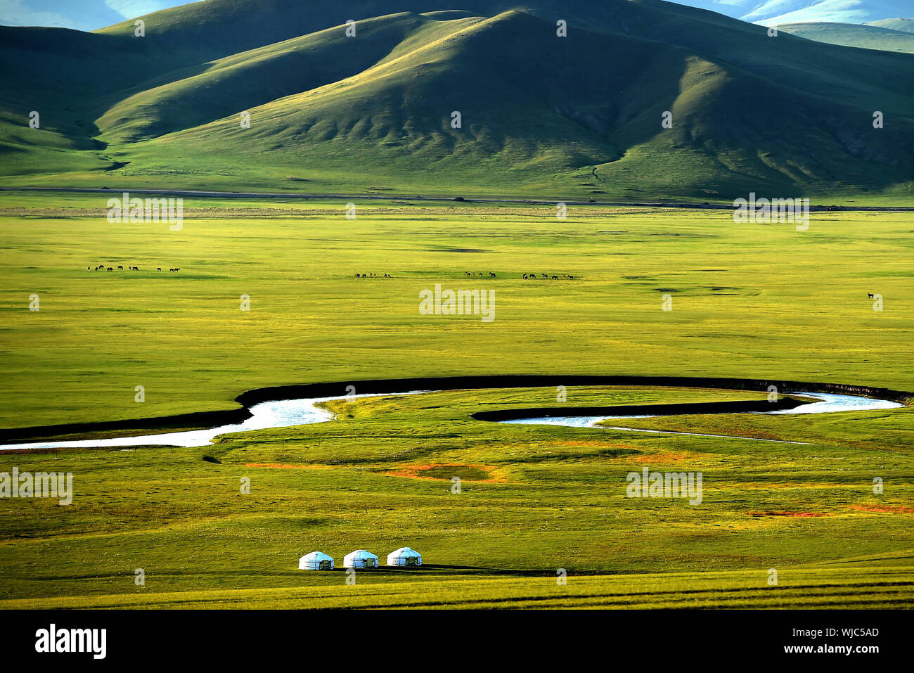 Buir nur hires stock photography and images Alamy