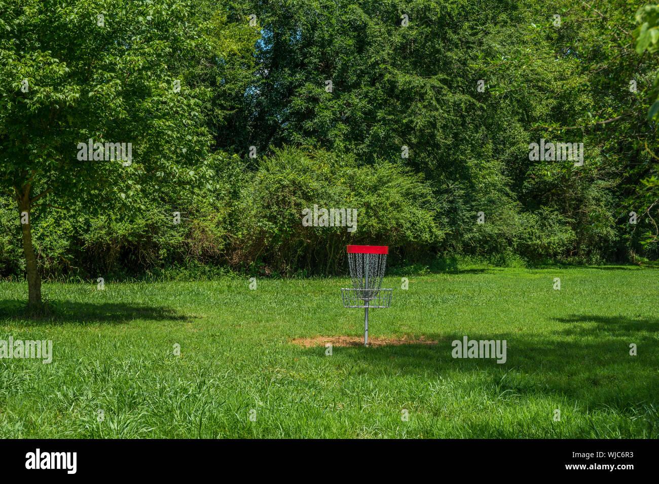 A brand new disc golf basket along the woodland on a grassy area in the
