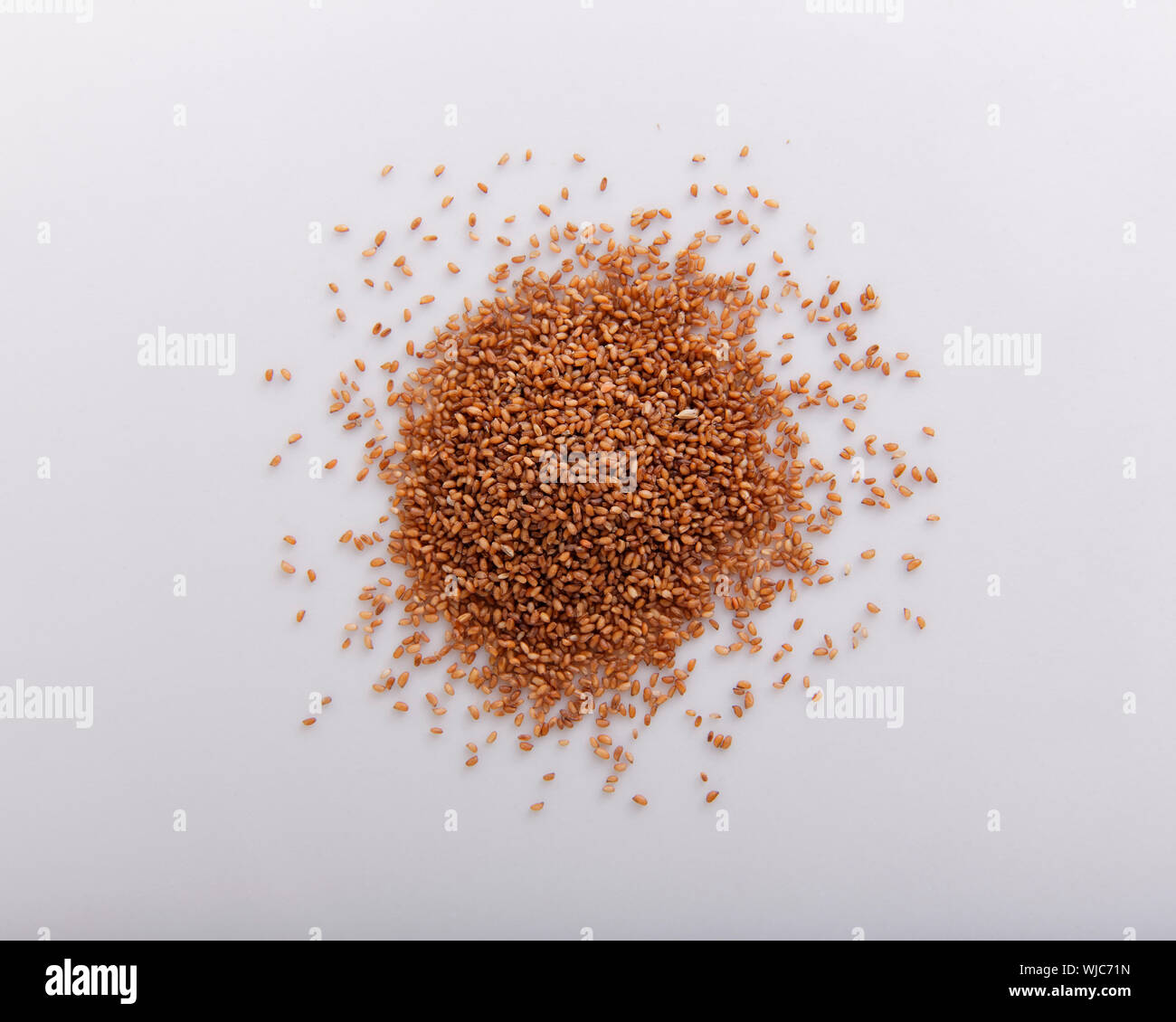 Teff grain piled and seen from above, cloeup Stock Photo
