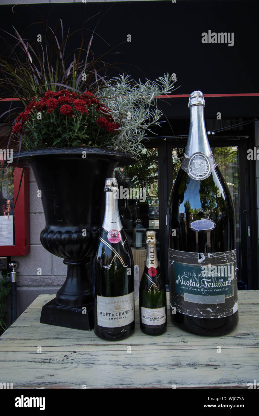 Champagne in bottle with plant and flowers Halifax Nova Scotia Canada booze style large magnum