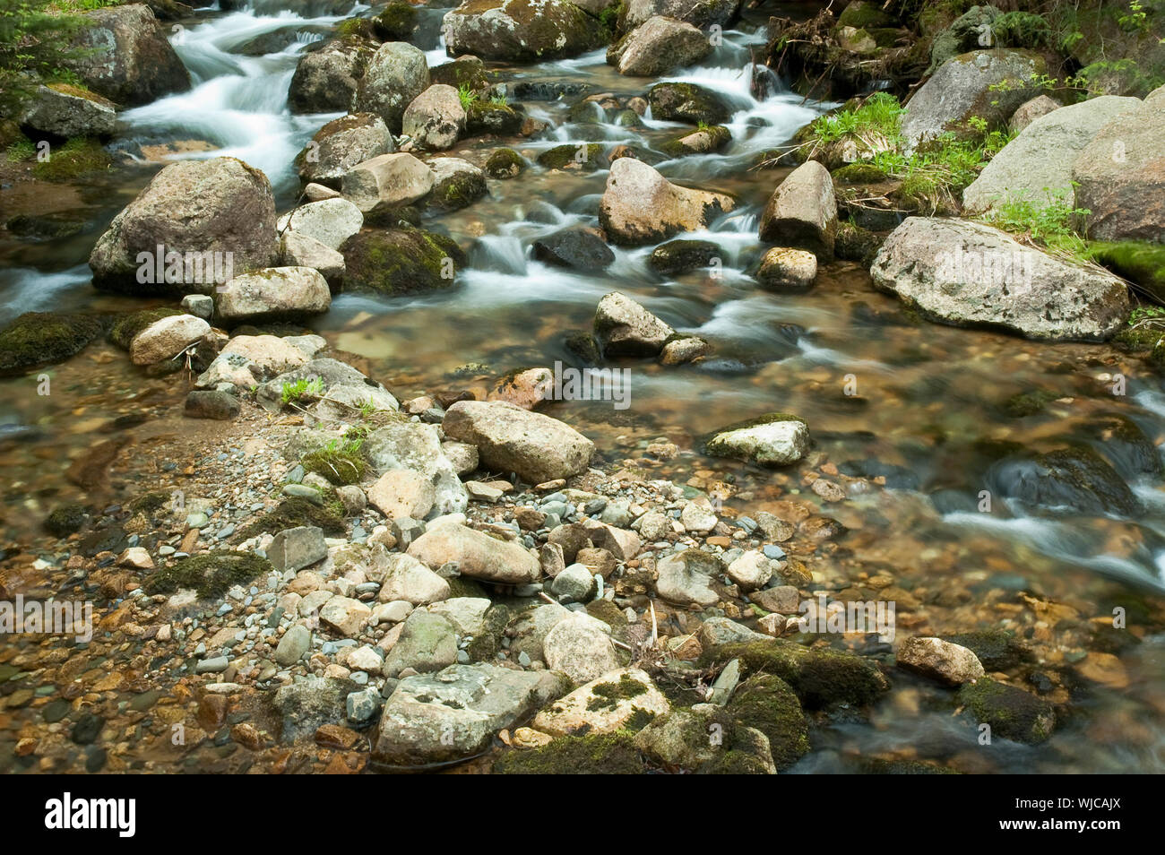 Small waterfalls in the middle of a forest Stock Photo - Alamy