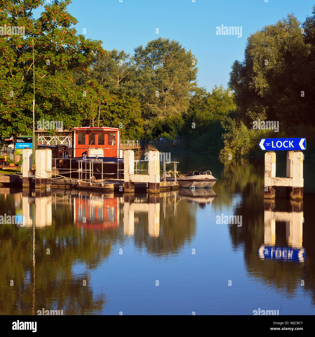My Image 7