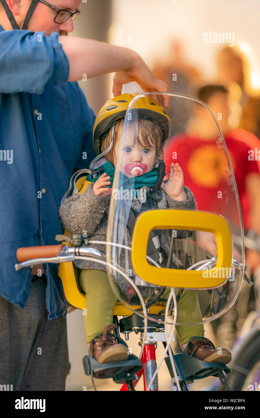 Father securing toddler in child's bicycle seat, Menningarnott or Cultural day, Reykjavik, Iceland. Stock Photo