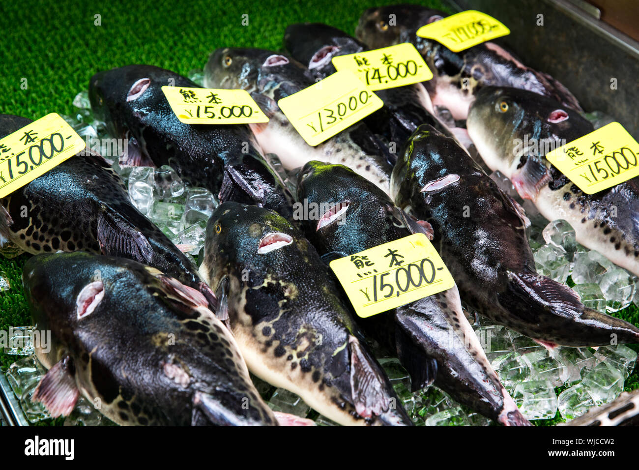 Fugus hires stock photography and images Alamy