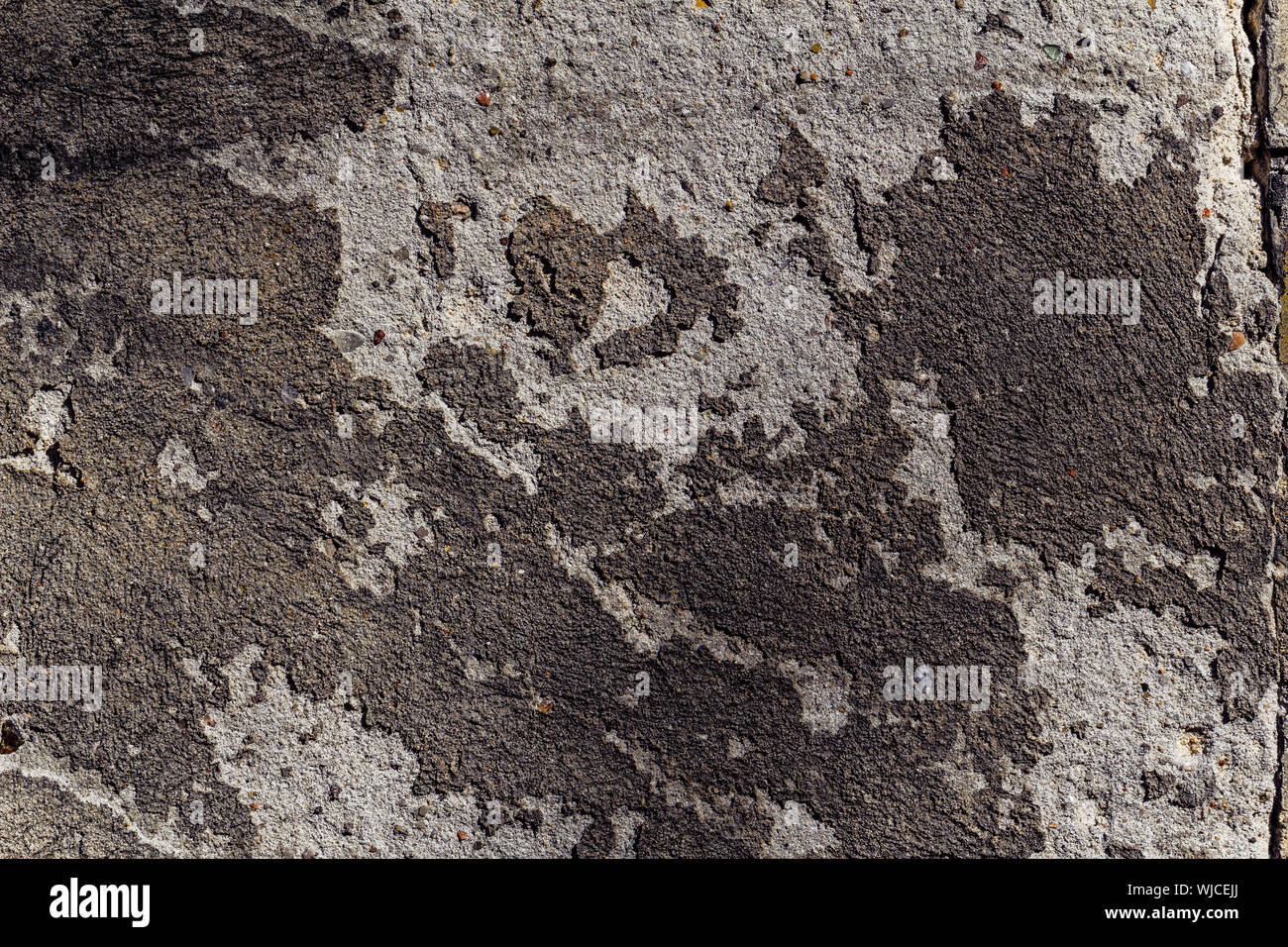 vintage grey rendered wall background. Stock Photo