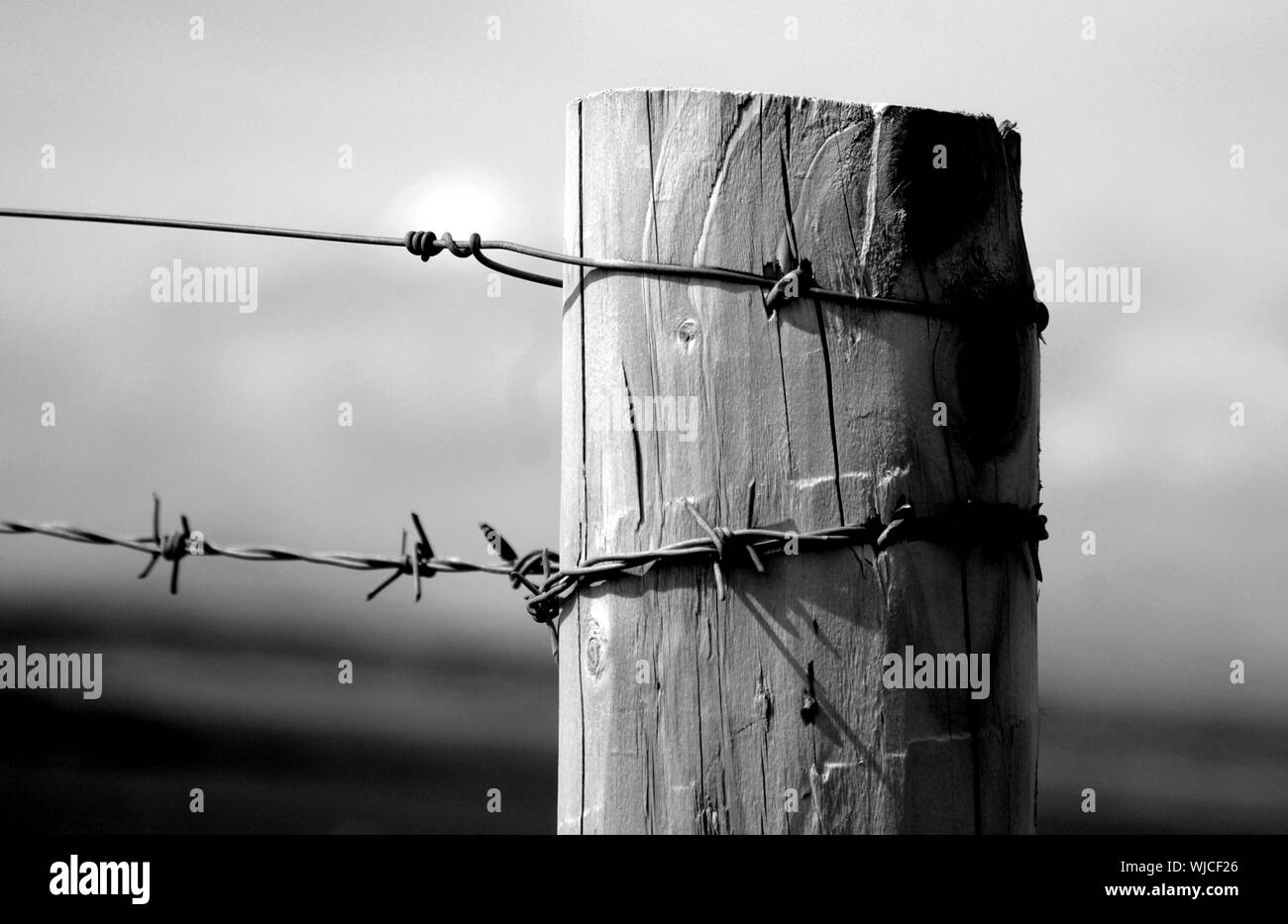 Barbed wire wooden fence Black and White Stock Photos & Images - Alamy