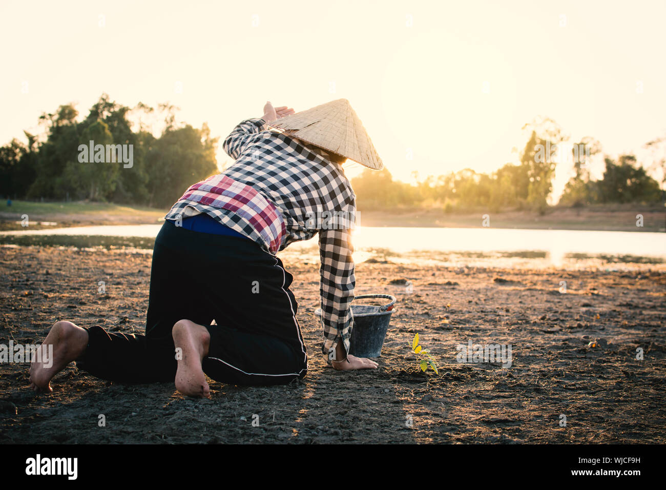 Man kneeling, rear hi-res stock photography and images - Alamy