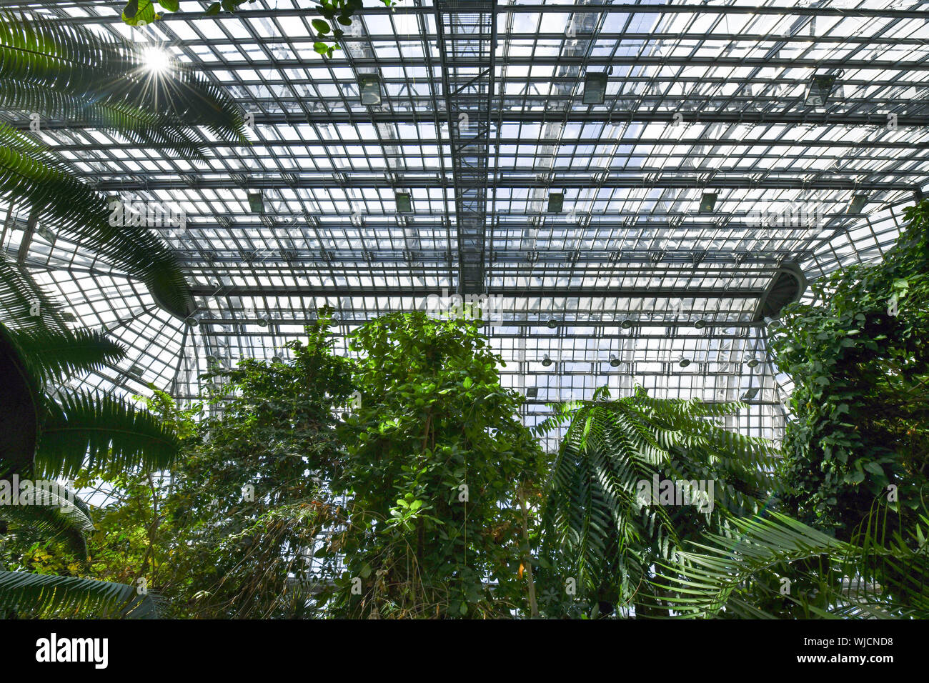 View, architecture, Berlin, botanical garden, Germany, building