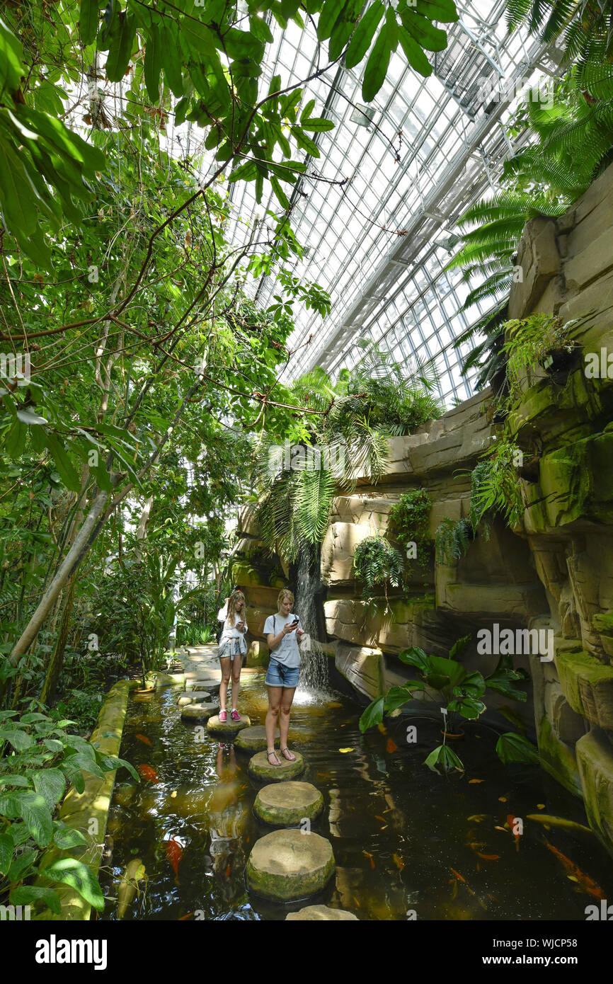 View, architecture, Berlin, botanical garden, Germany, building