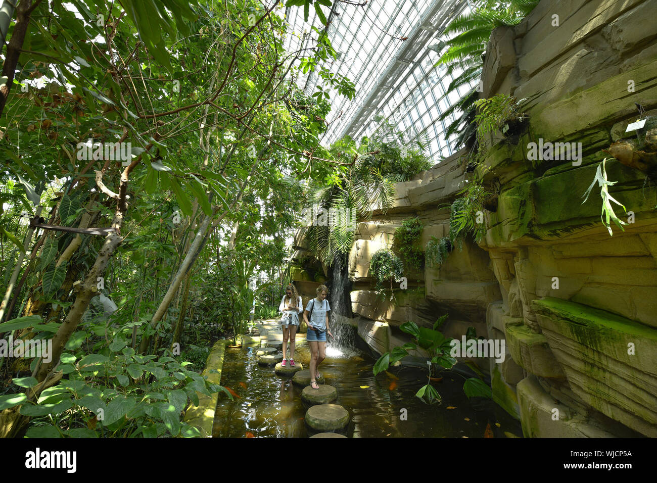 View, architecture, Berlin, botanical garden, Germany, building, building, greenhouse, greenhouse, greenhouse, big tropical house, big tropical house, Stock Photo
