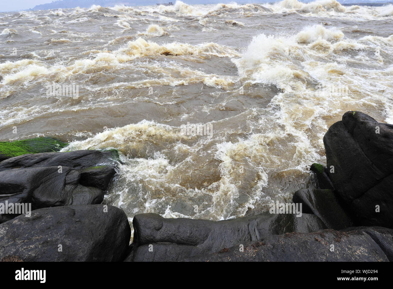 Levingston's thresholds on the river Congo. Democratic Republic of Congo. Africa Stock Photo