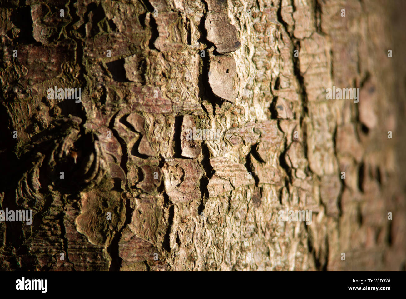 Light texture hi-res stock photography and images - Alamy