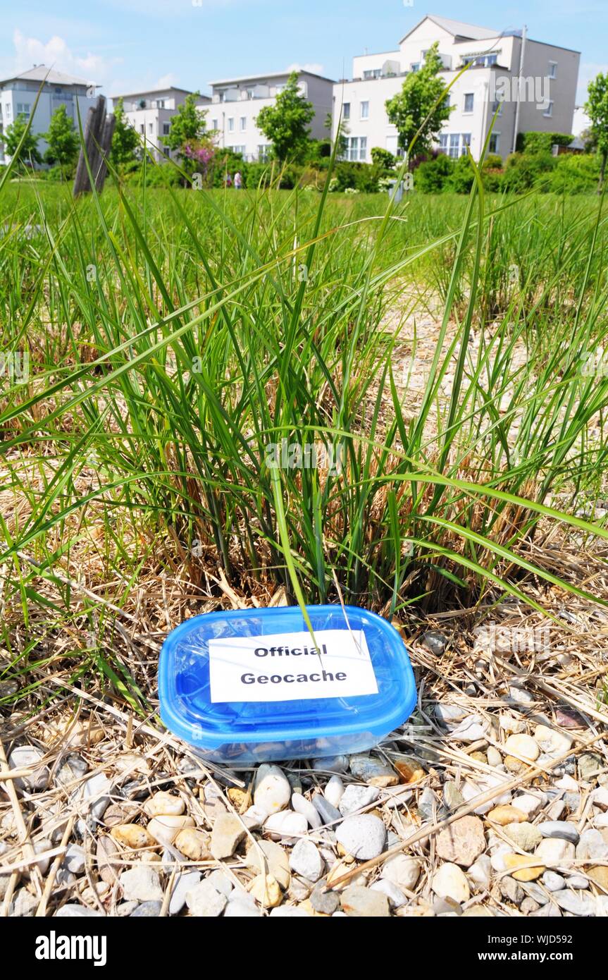 geocaching concept with cache box in nature Stock Photo - Alamy