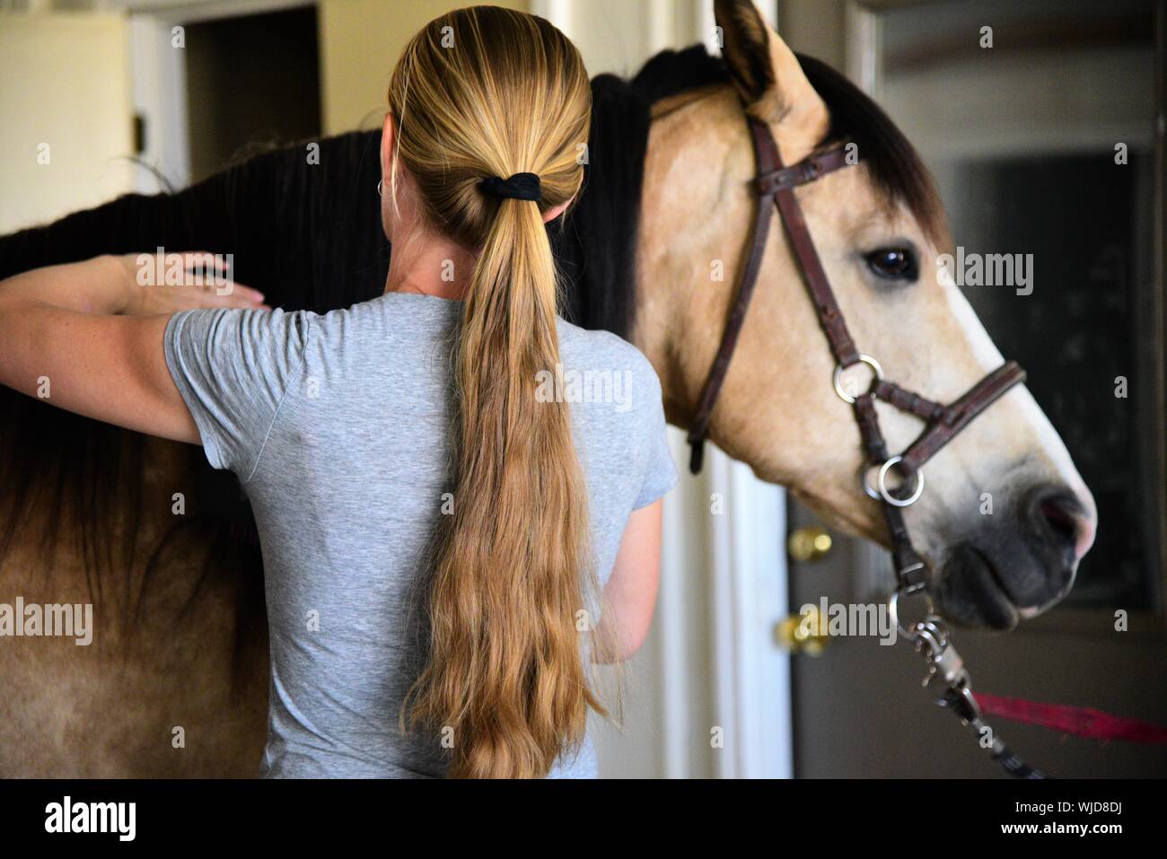 Grooming horses at Courage Reins, an equine therapy facility in Utah, USA. Stock Photo