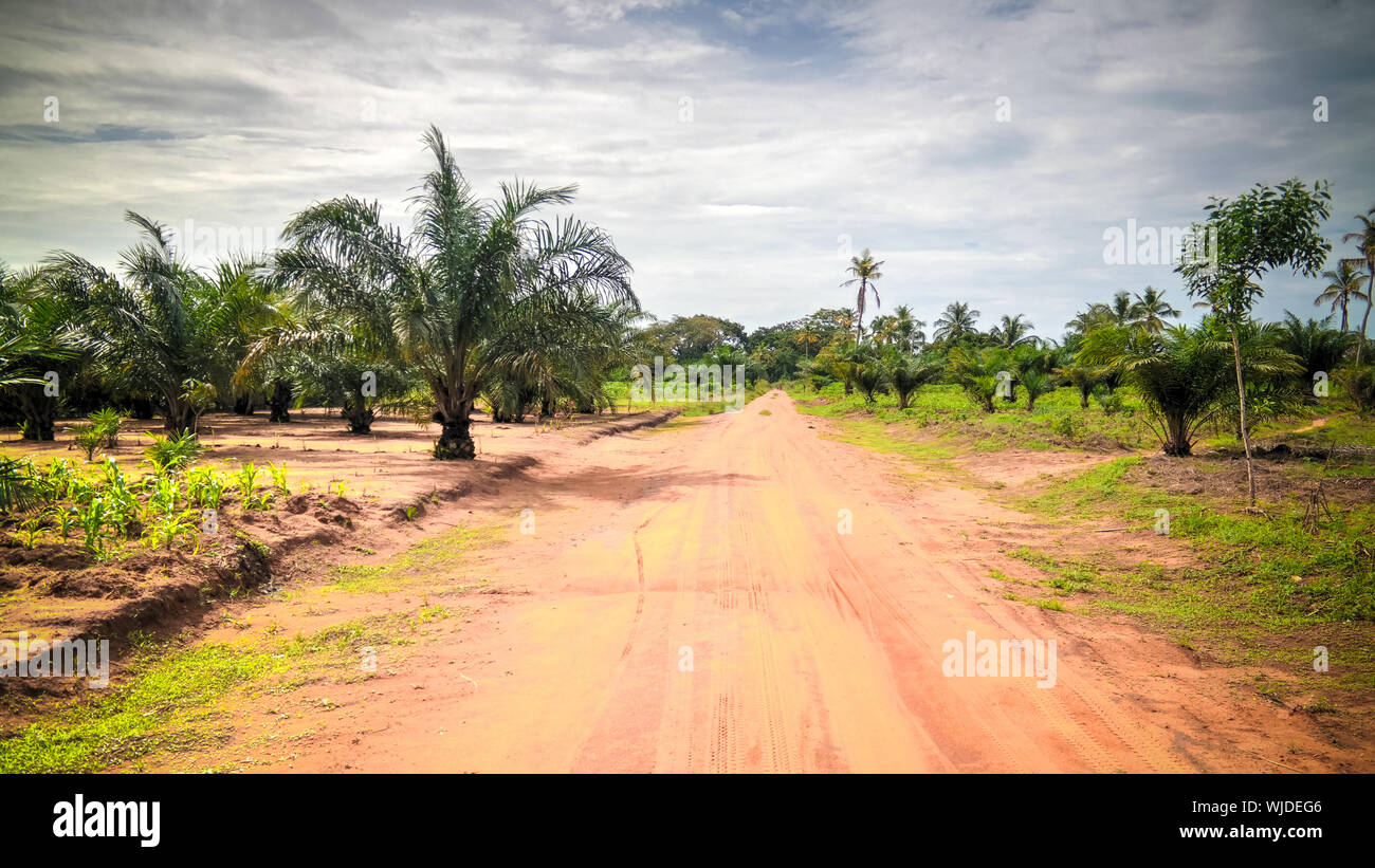 Togo landscape hi-res stock photography and images - Alamy