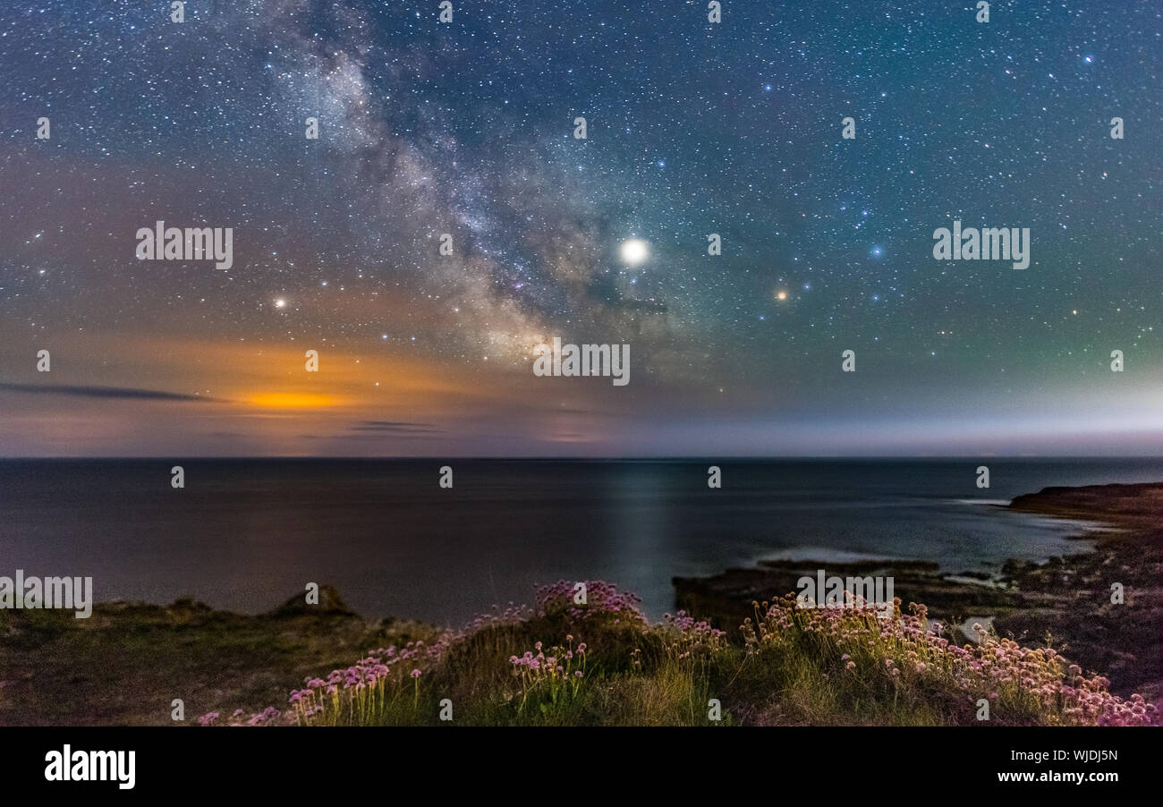 Milky Way at Portland Bill, Dorset with sea pinks in the foreground. Stock Photo