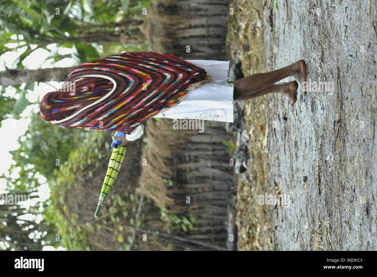 DUGUM DANI VILLAGE, BALIEM VALLEY, IRIAN JAYA, NEW GUINEA, INDONESIA - Juny 20, 2012:  Dani woman in a modern white dress and traditional cap on a hea Stock Photo