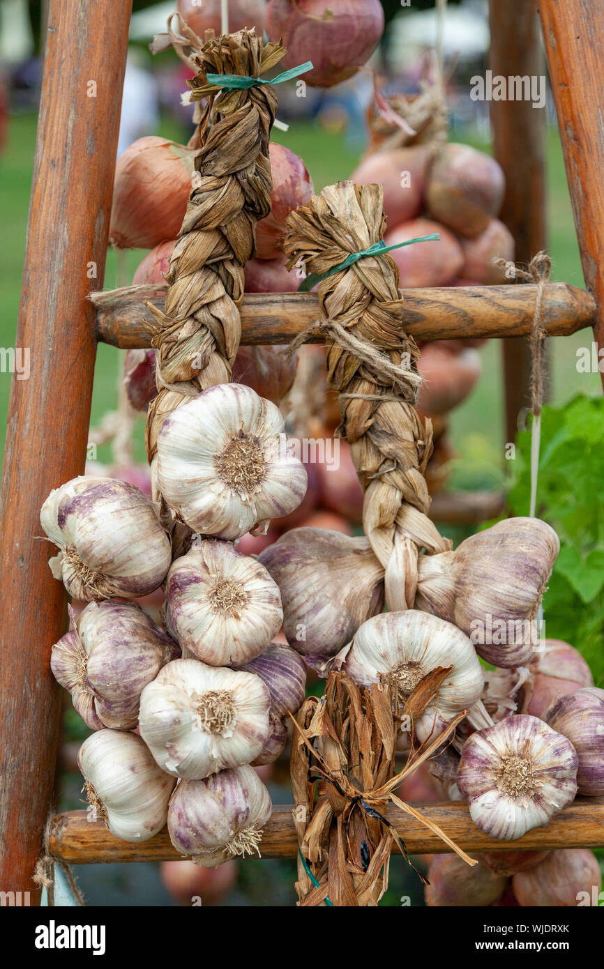 Garlic display Stock Photo
