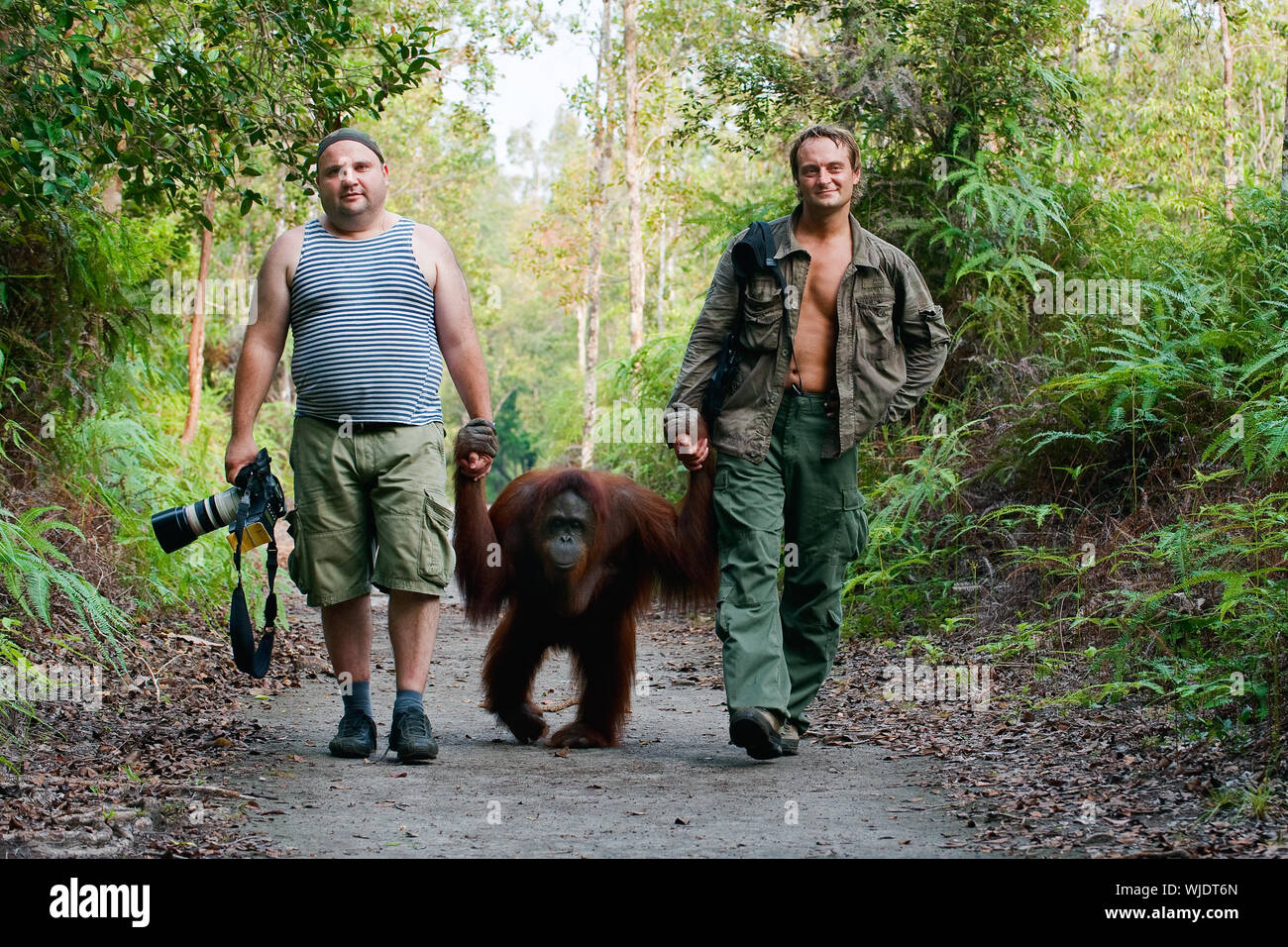 Photographers Andrey Gudkov and Sergey Uryadnikov walk  with an orangutan. Indonesia. Borneo Stock Photo