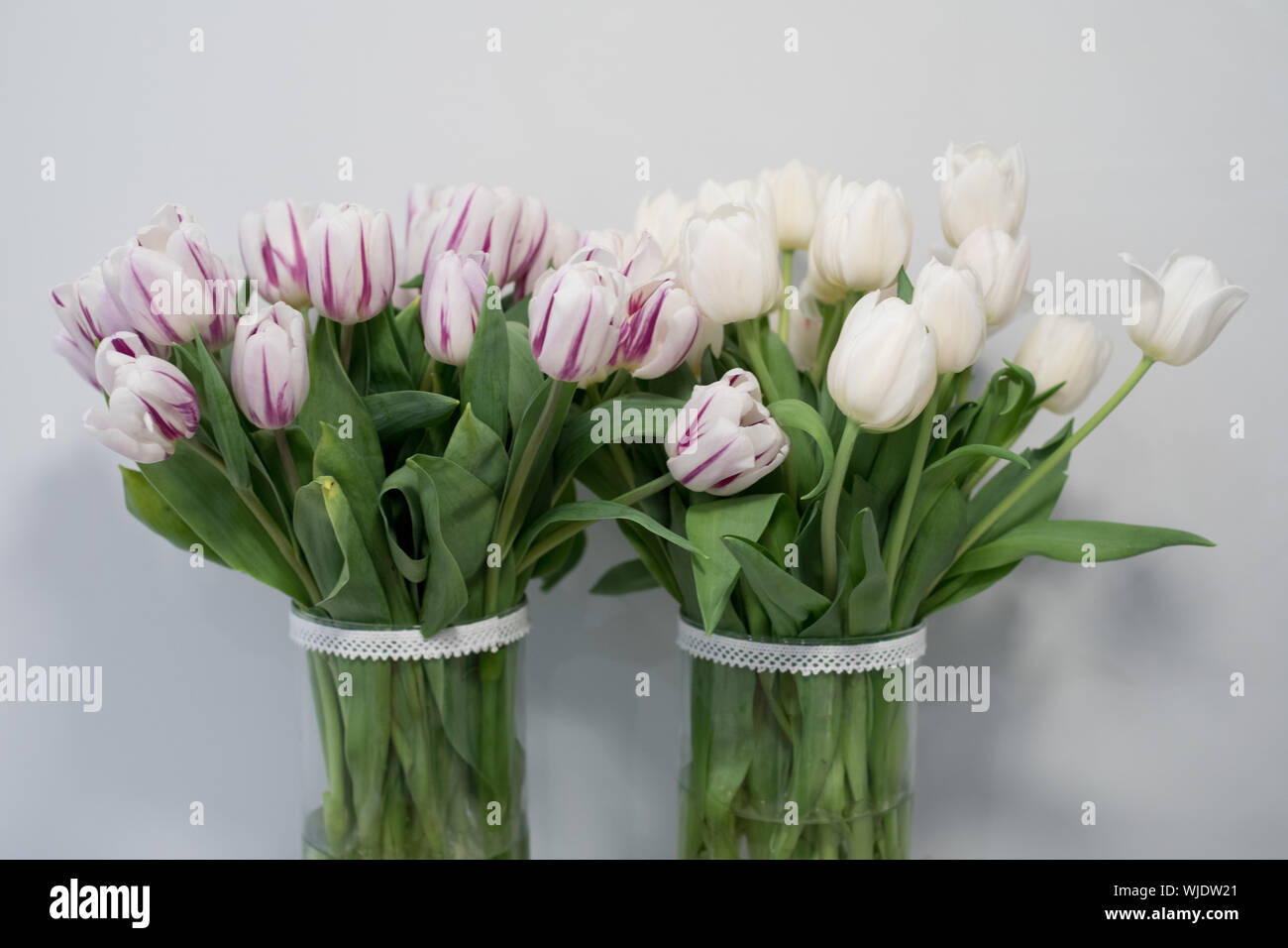 Traditional, polish Easter table with colored eggs, boiled eggs Stock Photo
