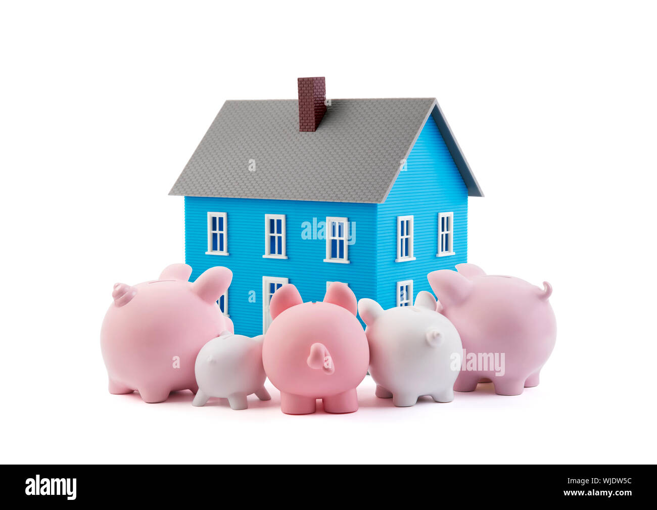 Group of piggy banks looking at the blue house Stock Photo