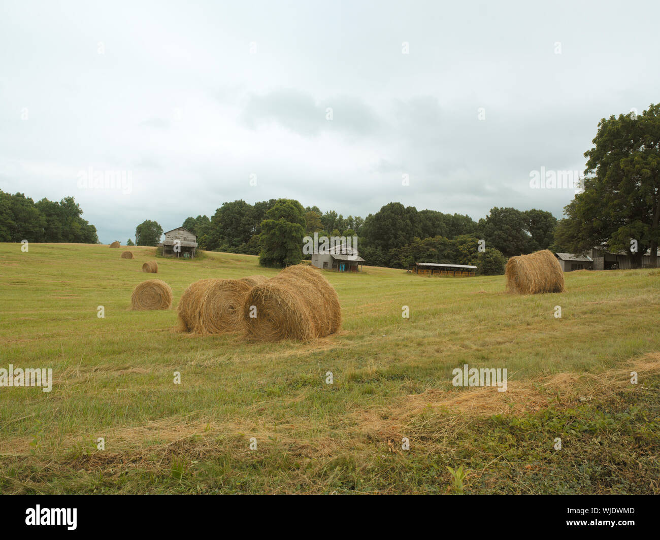 Carolina farmland hires stock photography and images Alamy