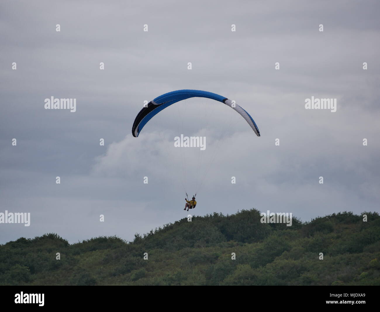 Parapente Bleu Noir Et Blanc Au Dessus Des Arbres Et Des