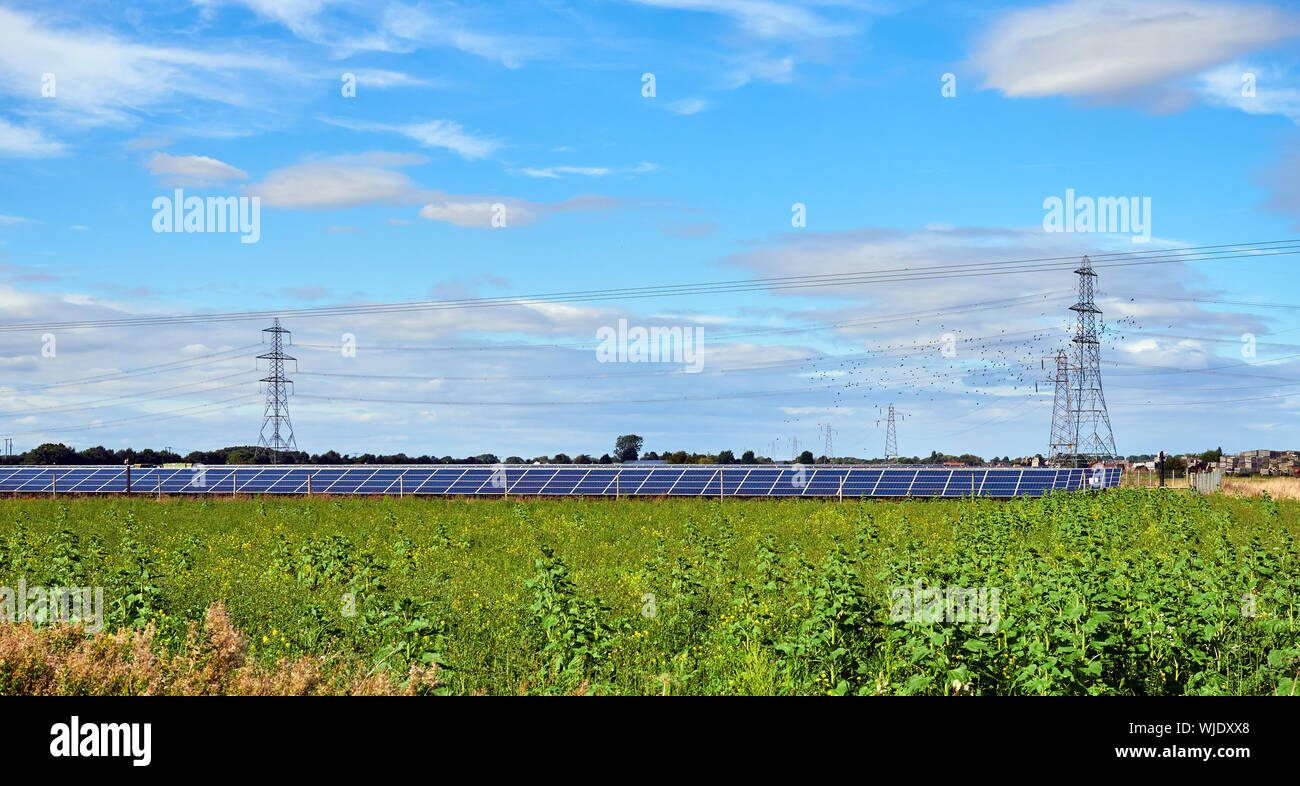 A small scale solar farm producing electricity from solar panels on agricultural land near Ruskington, Sleaford Lincolnshire Stock Photo