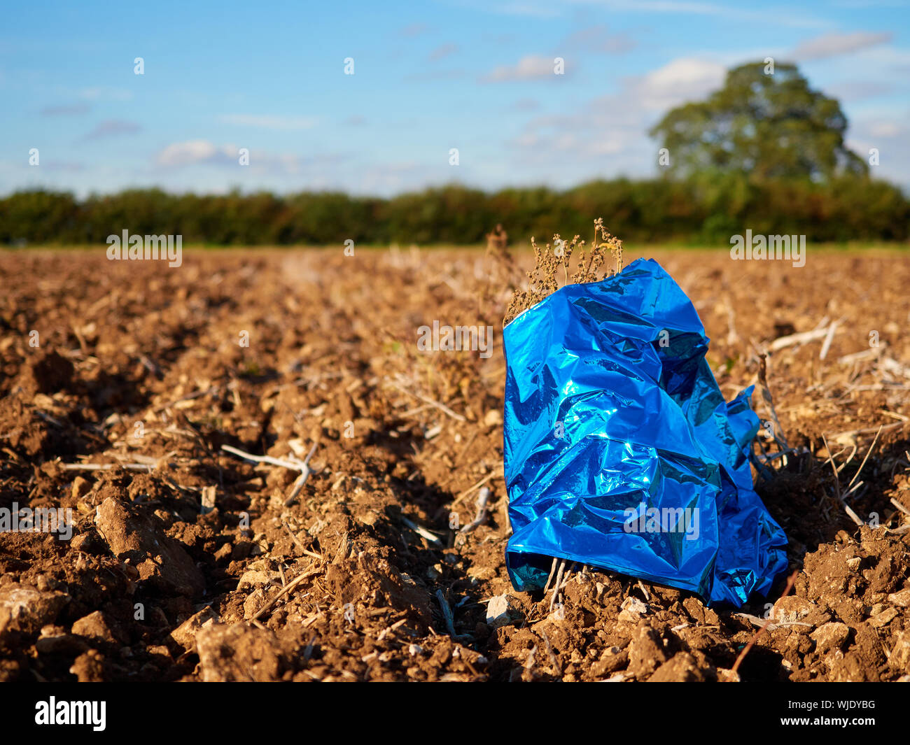 A discarded foil helium balloon littering an agricultural field causing an unsightly hazard for livestock and wildlife, plastic waste pollution Stock Photo