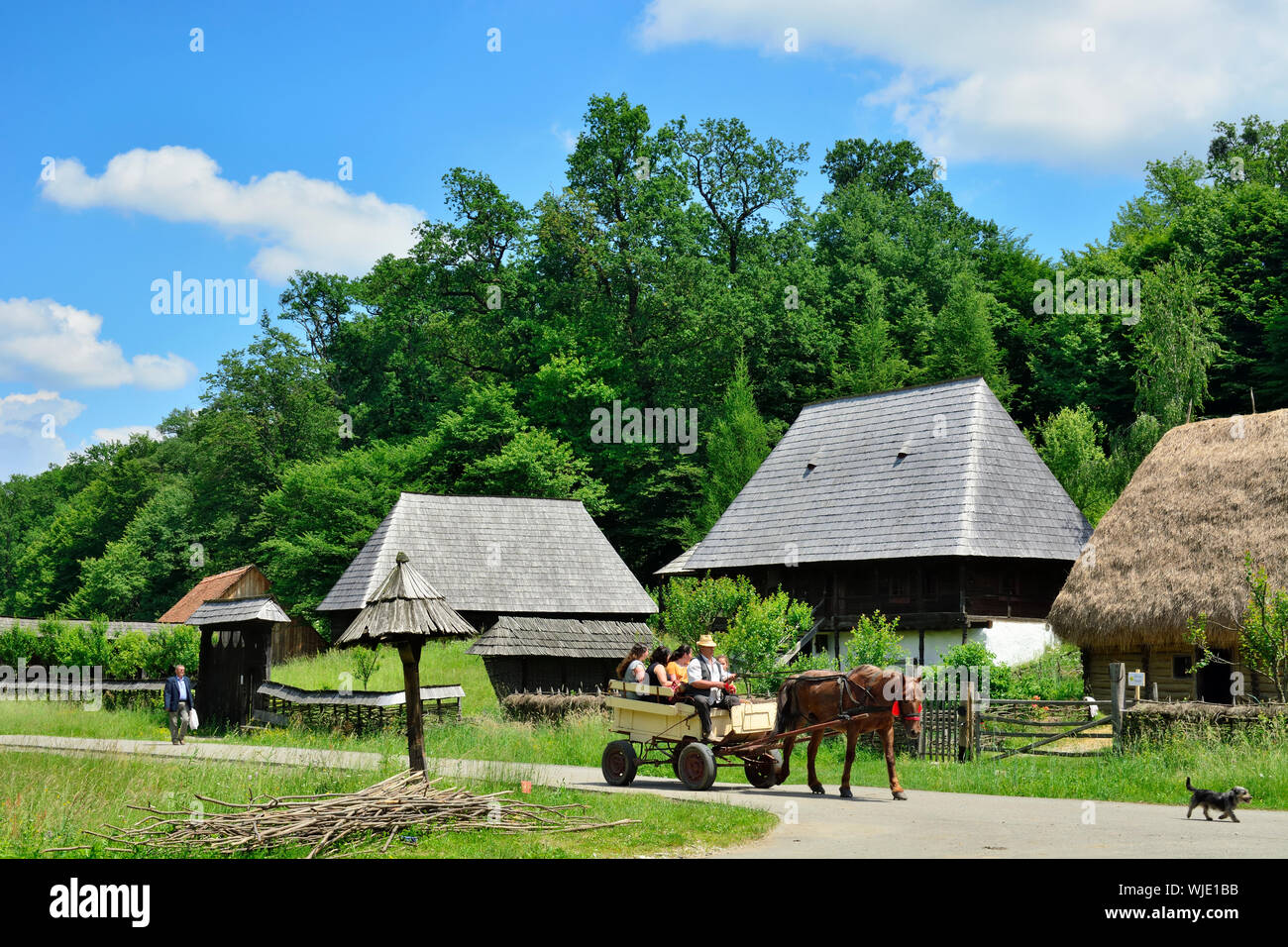 Houses of Maramures. ASTRA Museum of Traditional Folk Civilization, an open-air museum outside Sibiu, Transylvania. Romania Stock Photo