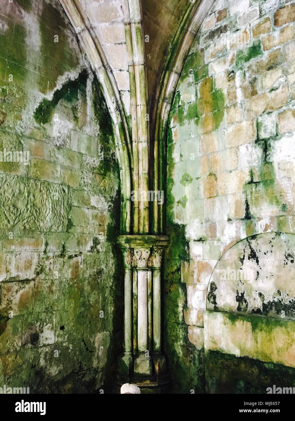 Moss On Gothic Column In Corner Amidst Stone Walls Stock Photo