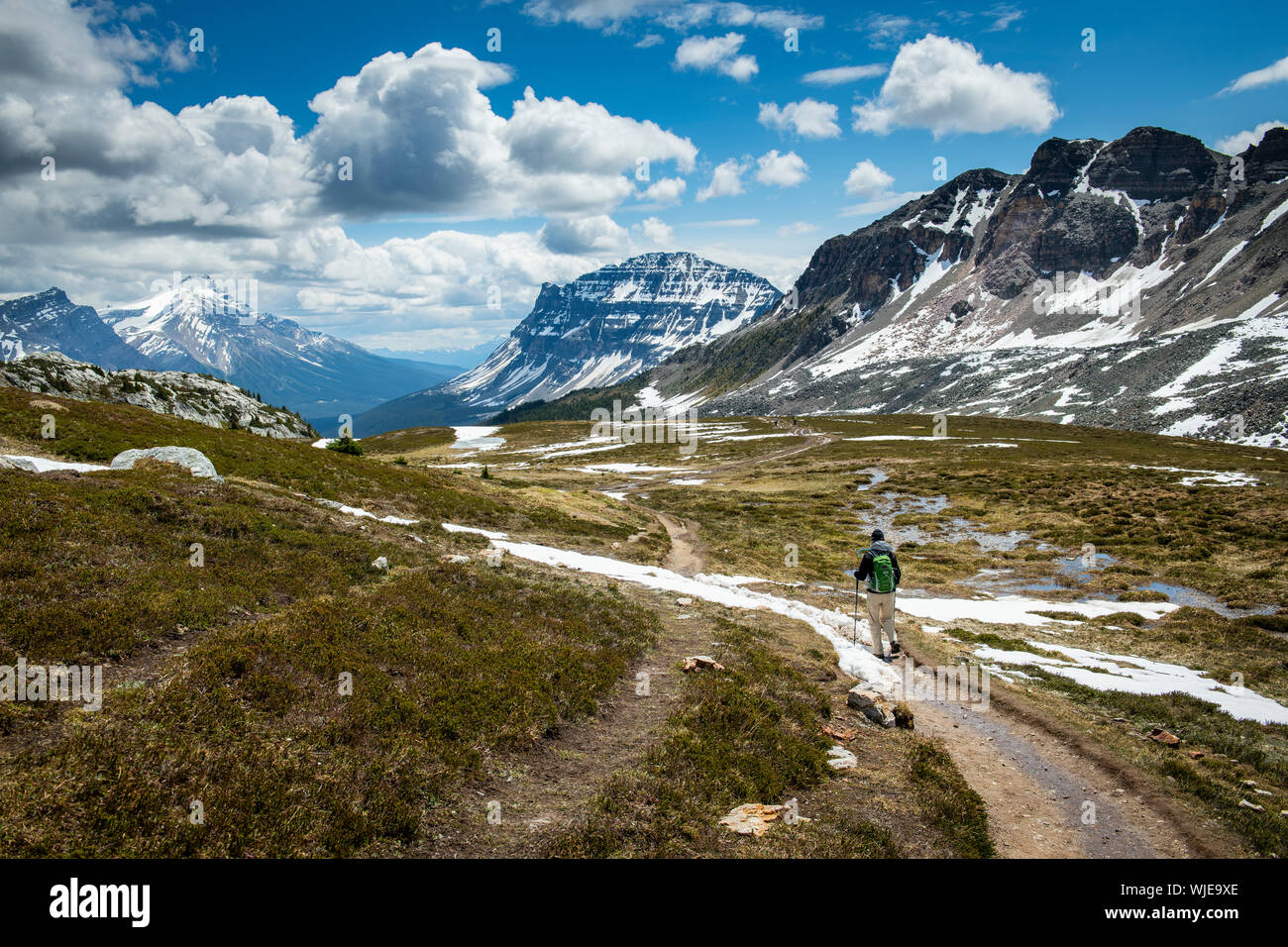 Woman hiking a trail of the Canadian Rockies in Banff National Park