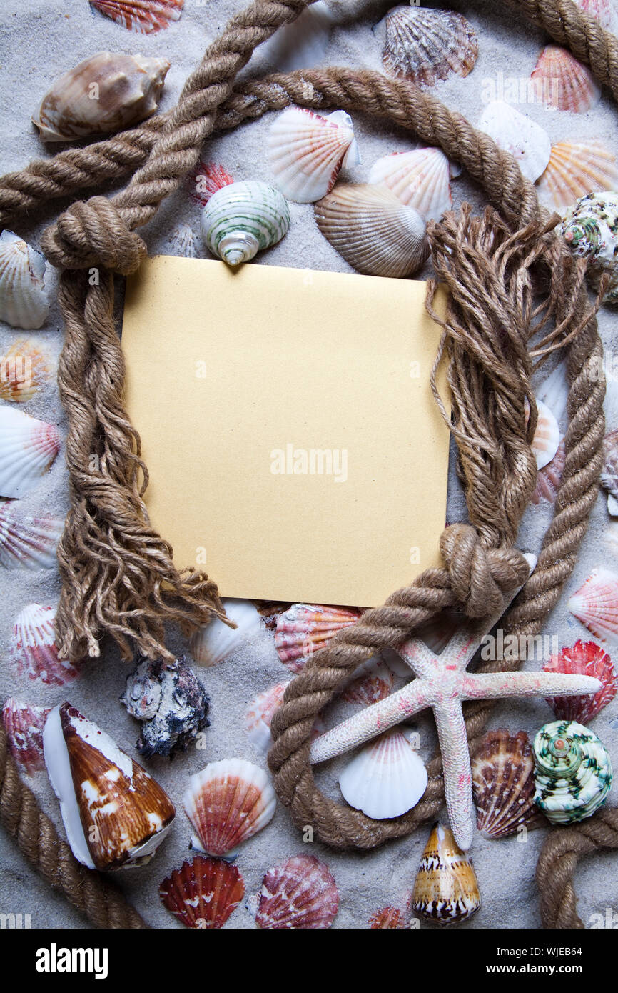 Summer paper letter with shell Stock Photo - Alamy