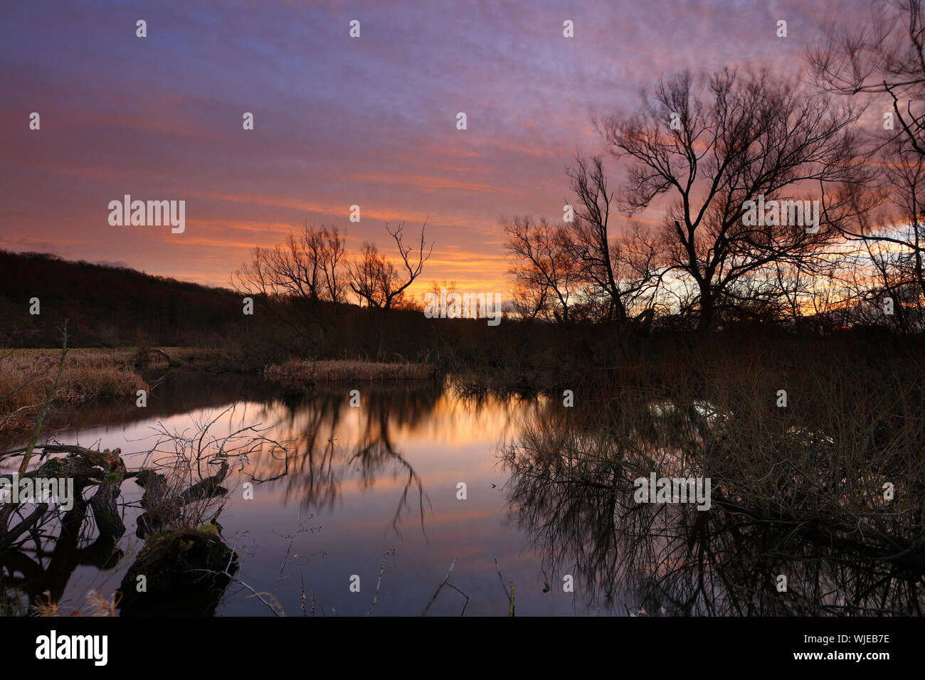 Pond trees reflection water sunset sky silhouette hi-res stock ...