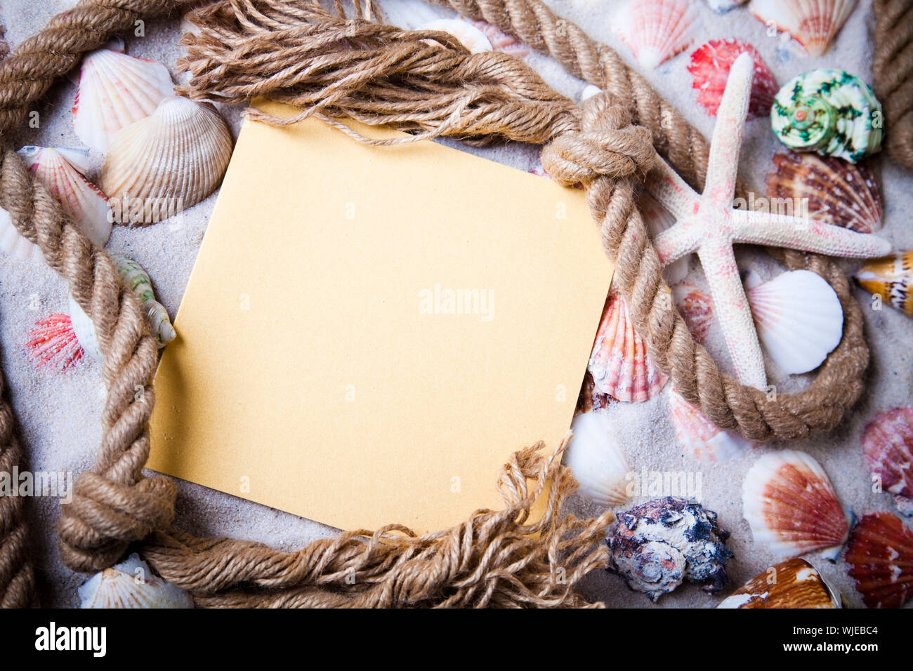 Summer paper letter with shell Stock Photo - Alamy