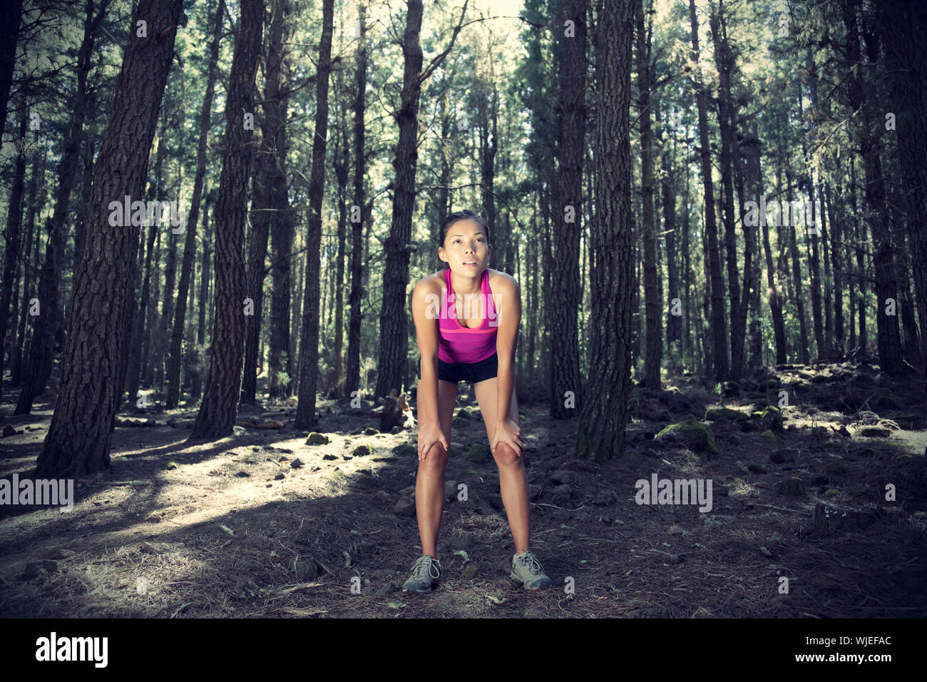 Woman running in forest. Female runner taking a break from running in beautiful  forest with lots of mood / atmosphere and copy space. Beautiful young Stock  Photo - Alamy