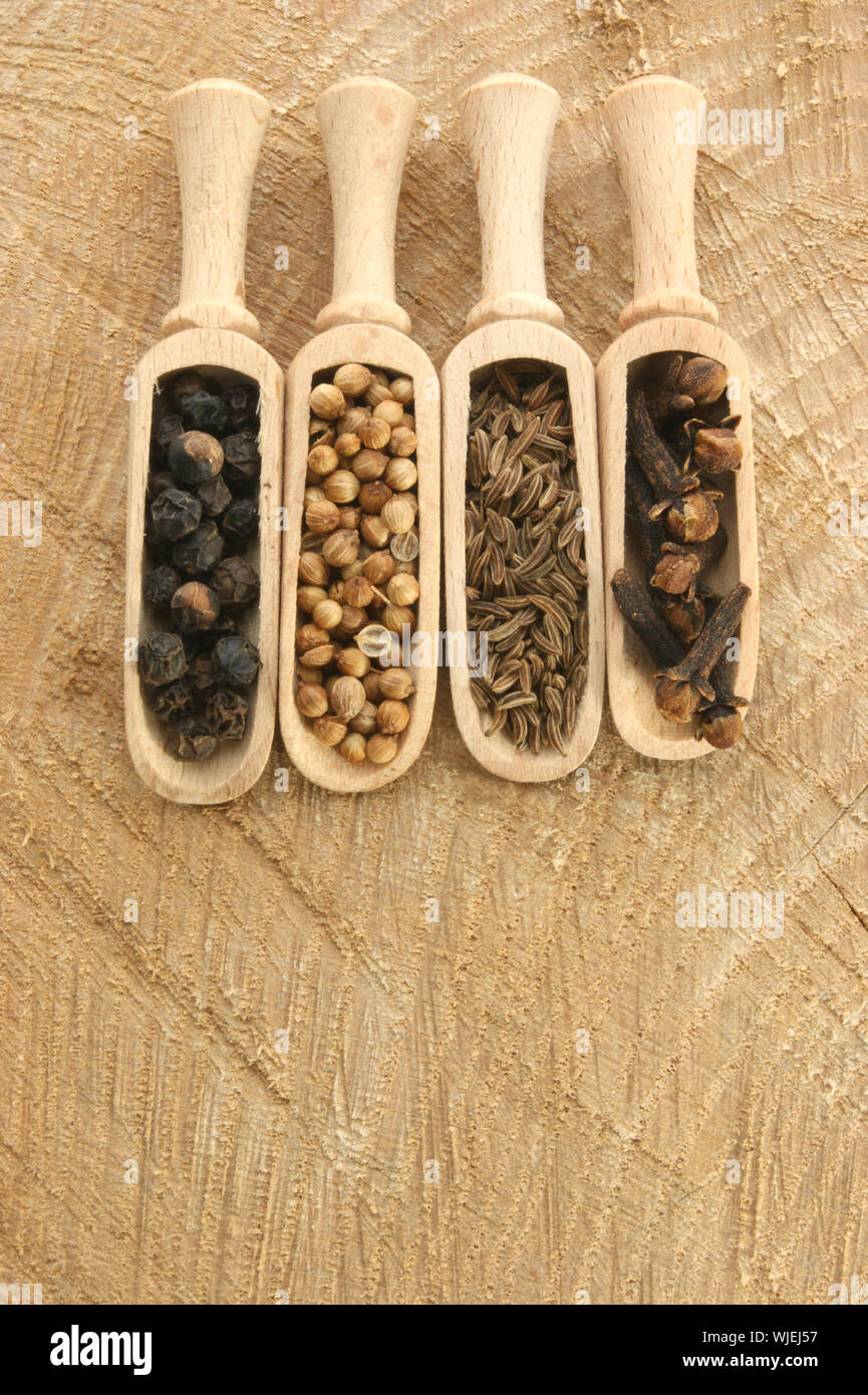 four spices, pepper, coriander, cloves and caraway seed Stock Photo Alamy