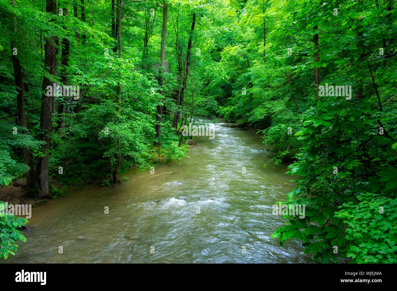 Clinch River flows through Virginia's Natural Tunnel State Park. Stock Photo