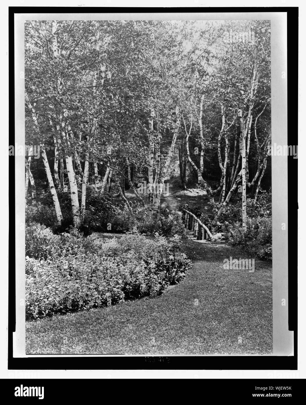 Hebert Livingston Satterlee house, Great Head, Bar Harbor, Maine. Rustic bridge in birch grove Stock Photo