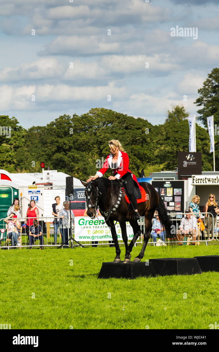 Horse riding member of the Stallions of Substance equine display team