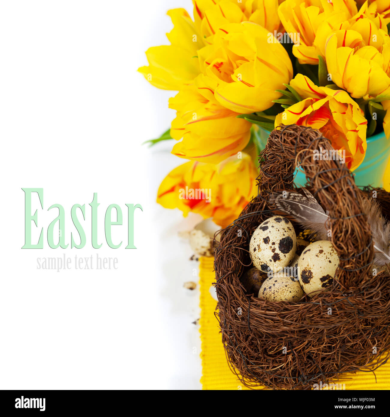 spring tulips with easter eggs on white background (with easy removable ...