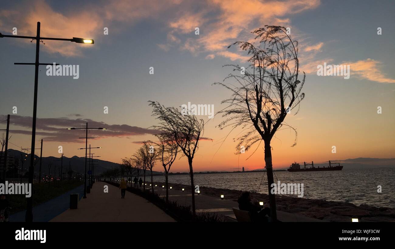 Wide shot of trees on a path by the water with a boat on its body during sunset Stock Photo