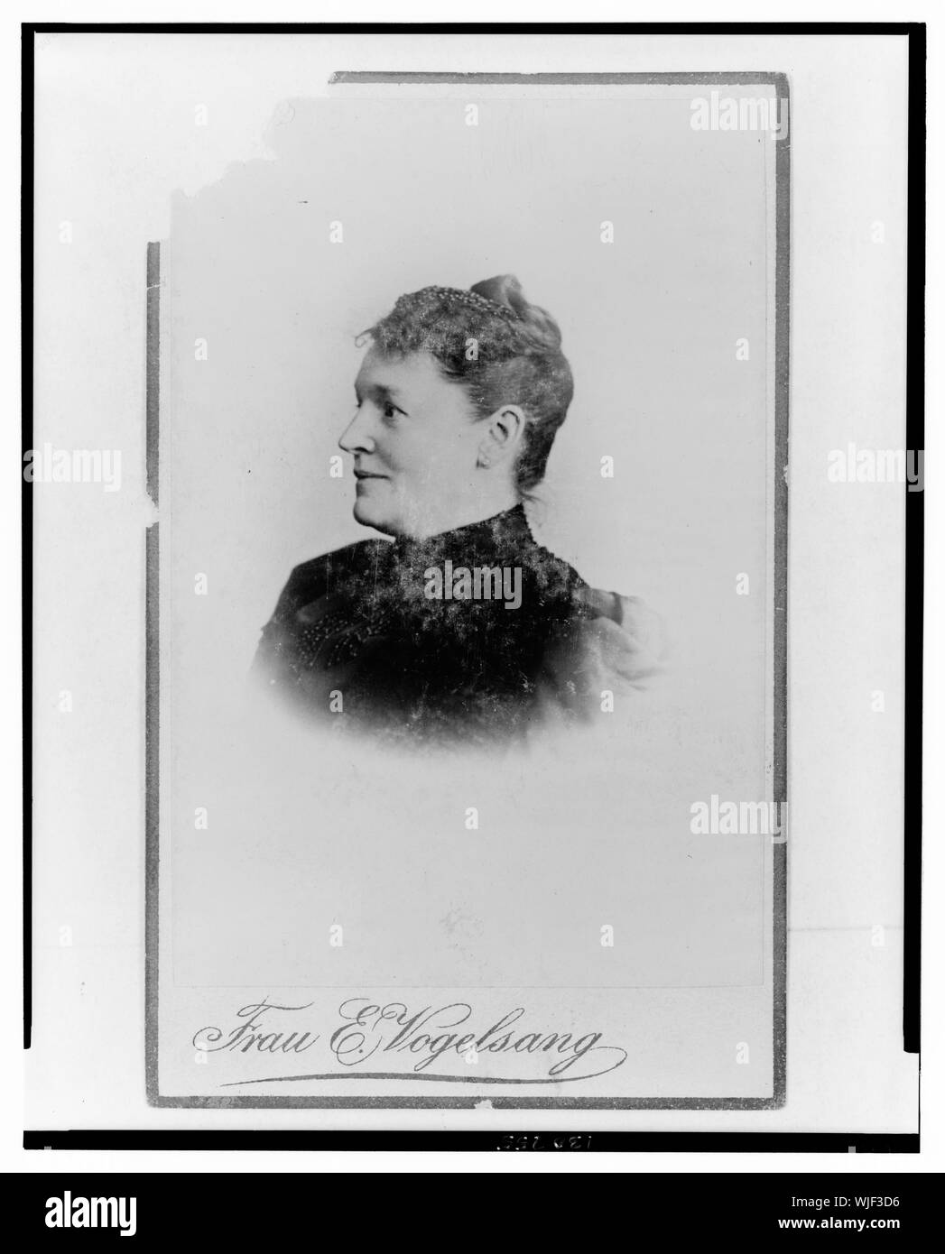 Hedwig Heyl, German home economics authority, head-and-shoulders portrait, facing left / Frau E. Vogelsang Stock Photo