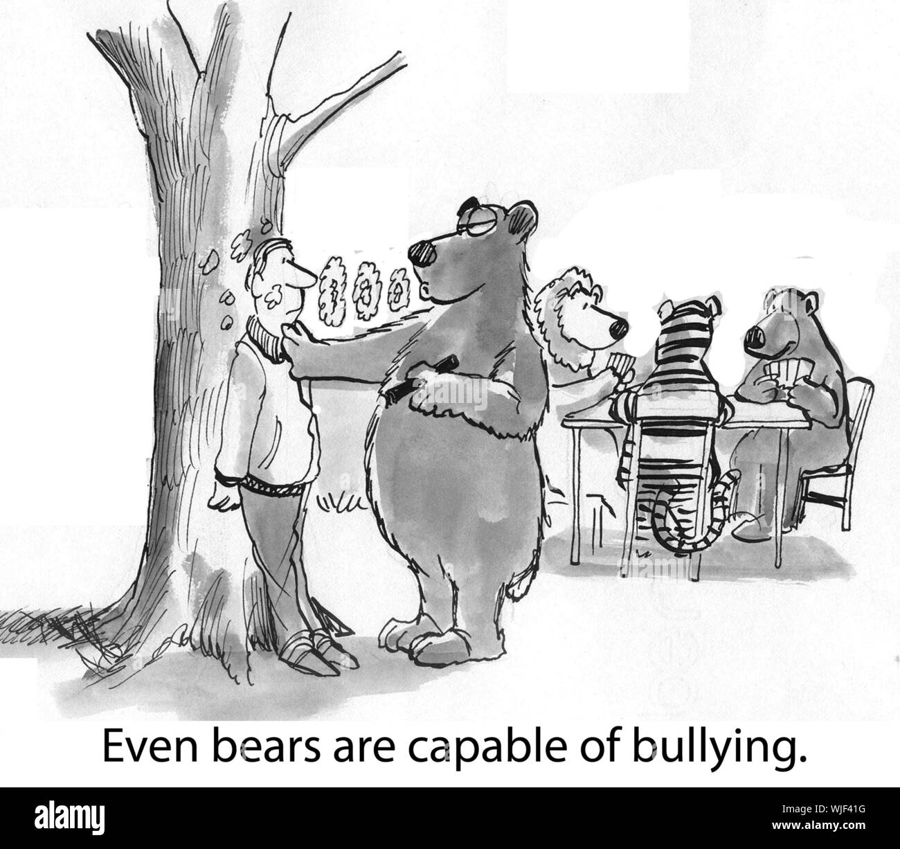 Even bears are capable of bullying. Stock Photo