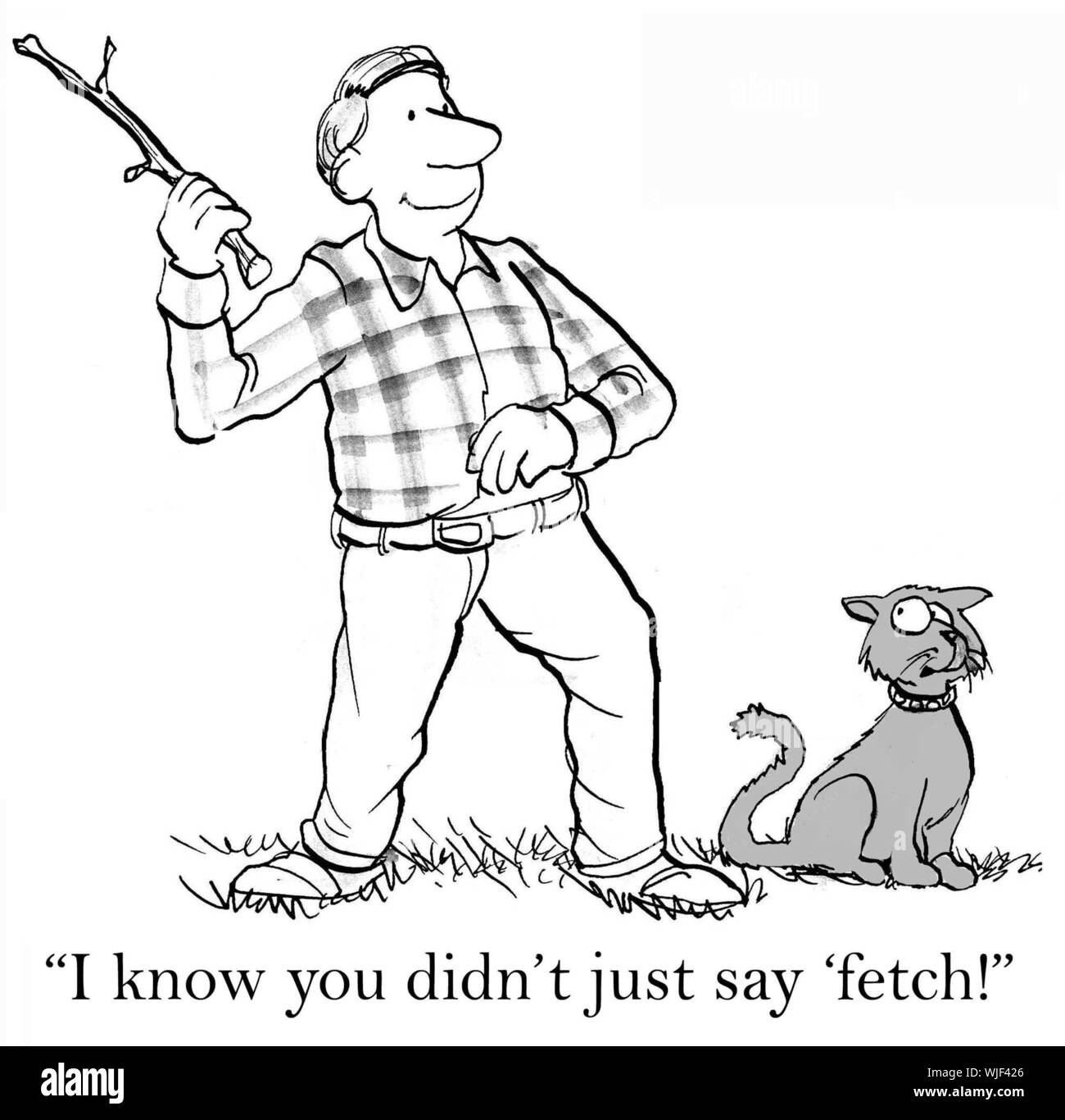 Cats Don t Fetch Stock Photo Alamy