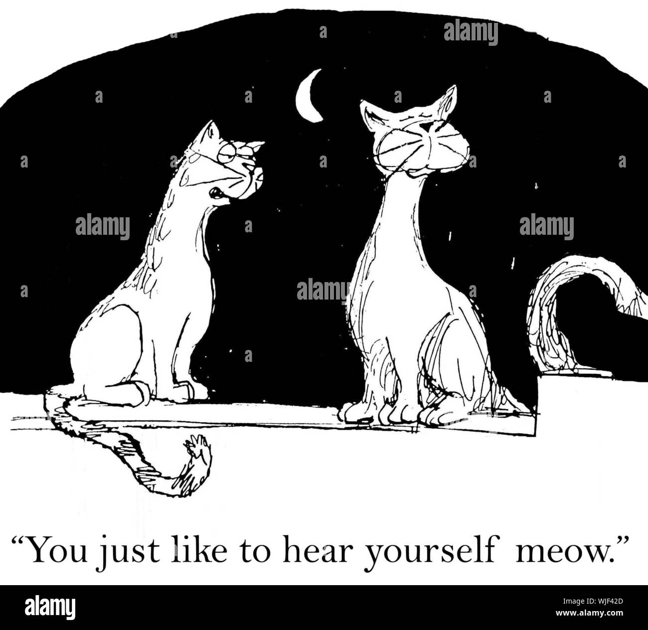 'Sometimes I think you just like to hear yourself meow.' Stock Photo