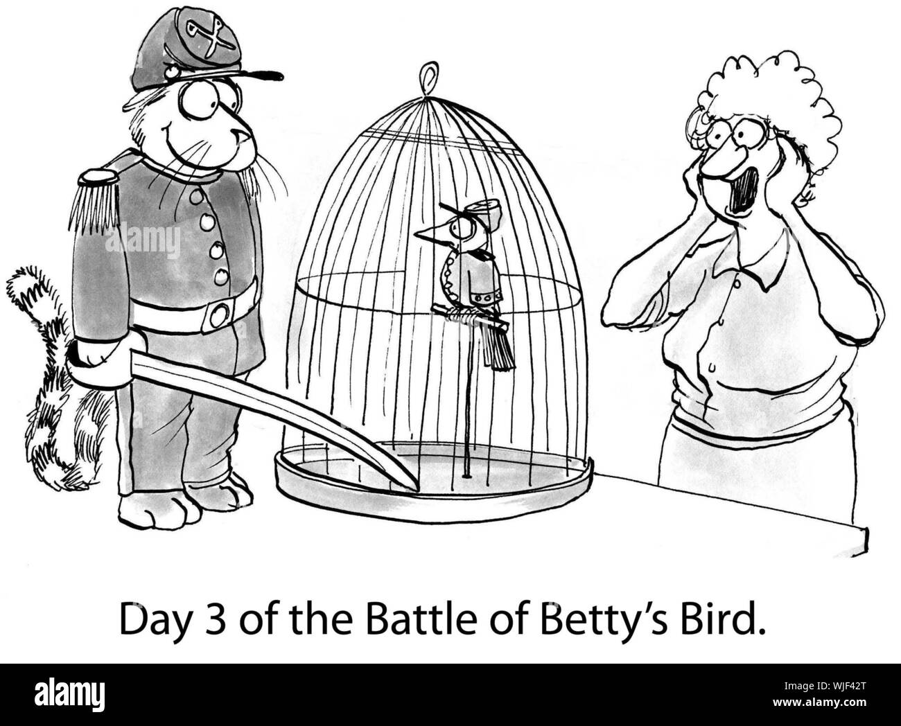 Day 3 of the Battle of Betty's Bird. Stock Photo