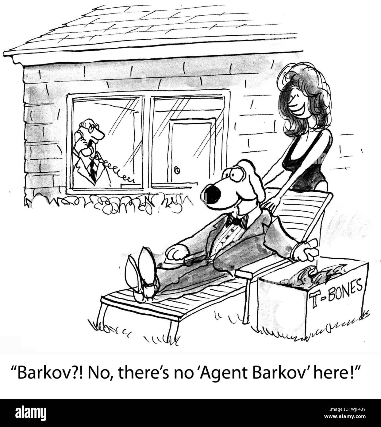 'Barkov?! No, there's no 'Agent Barkov' here!' Stock Photo