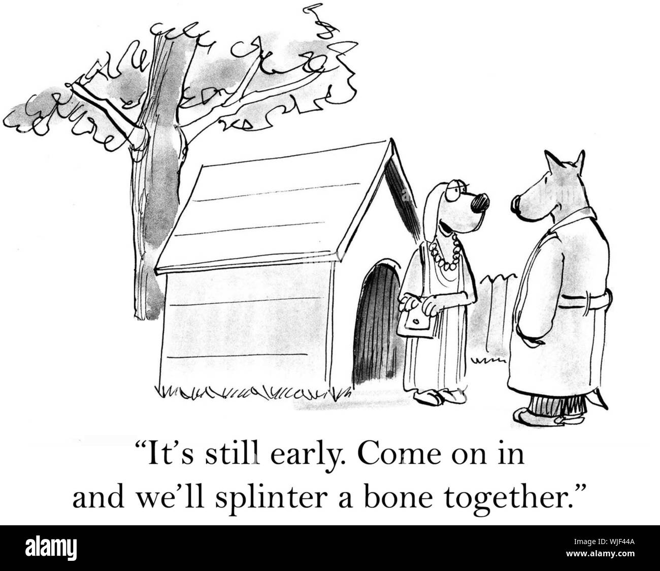'It's still early. Come on in and we'll splinter a bone together.' Stock Photo
