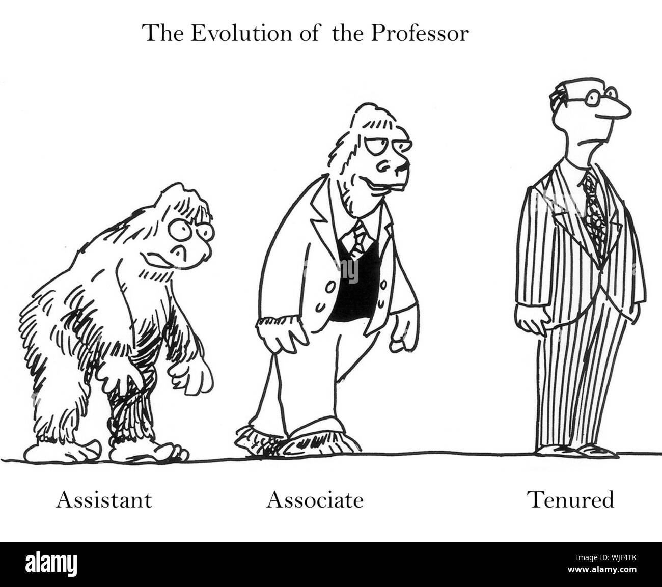 Evolution of the Professor Stock Photo